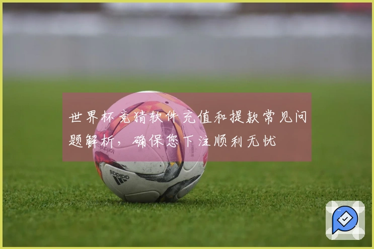 世界杯竞猜软件充值和提款常见问题解析，确保您下注顺利无忧