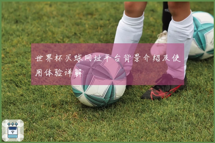 世界杯买球网址平台背景介绍及使用体验详解