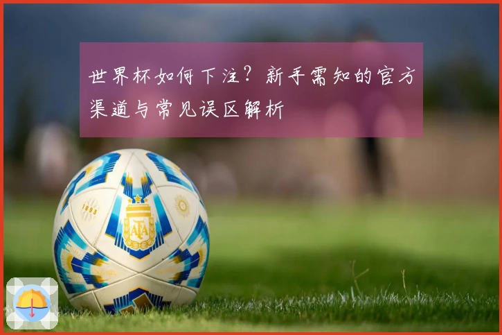 世界杯如何下注？新手需知的官方渠道与常见误区解析