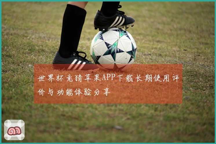 世界杯竞猜苹果APP下载长期使用评价与功能体验分享