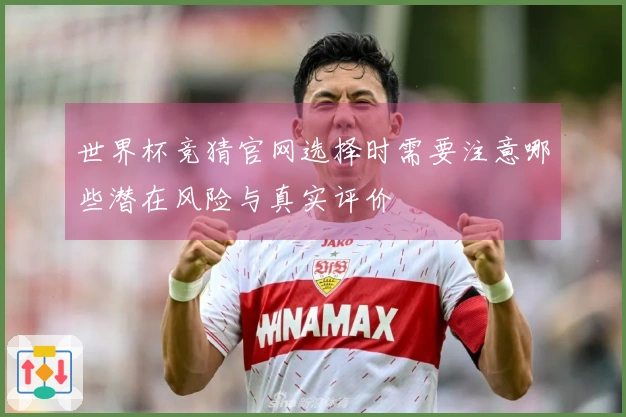 世界杯竞猜官网选择时需要注意哪些潜在风险与真实评价