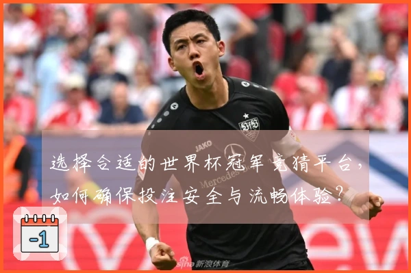 选择合适的世界杯冠军竞猜平台，如何确保投注安全与流畅体验？