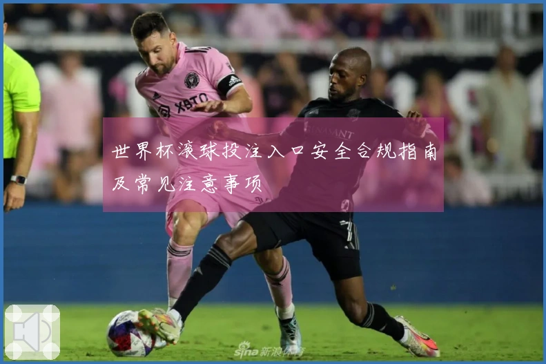 世界杯滚球投注入口安全合规指南及常见注意事项