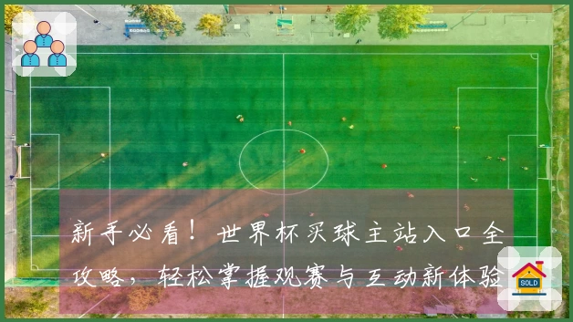 新手必看！世界杯买球主站入口全攻略，轻松掌握观赛与互动新体验