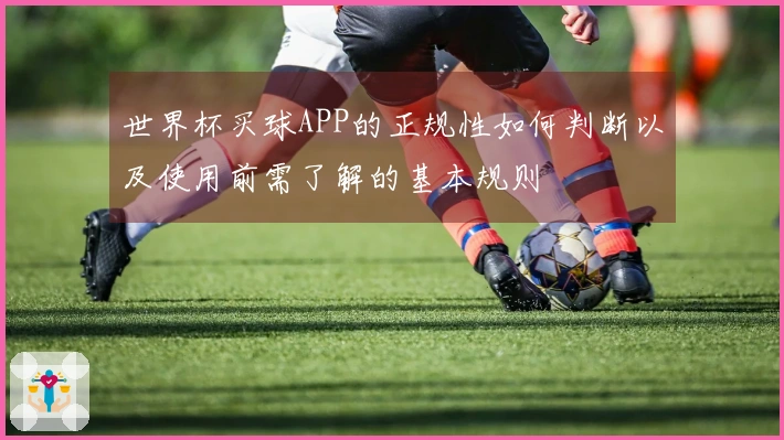 世界杯买球APP的正规性如何判断以及使用前需了解的基本规则