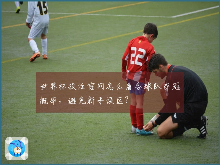 世界杯投注官网怎么看各球队夺冠概率，避免新手误区？