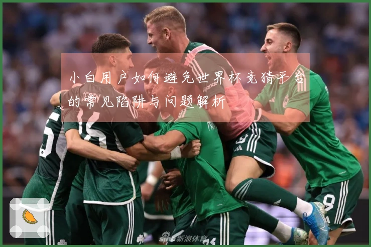 小白用户如何避免世界杯竞猜平台的常见陷阱与问题解析