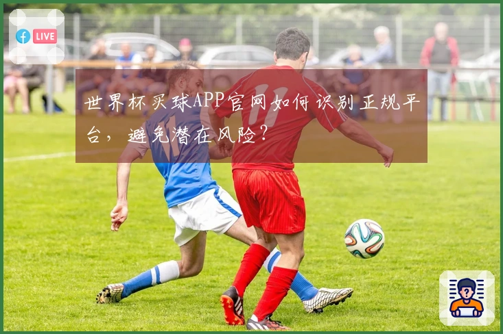 世界杯买球APP官网如何识别正规平台，避免潜在风险？