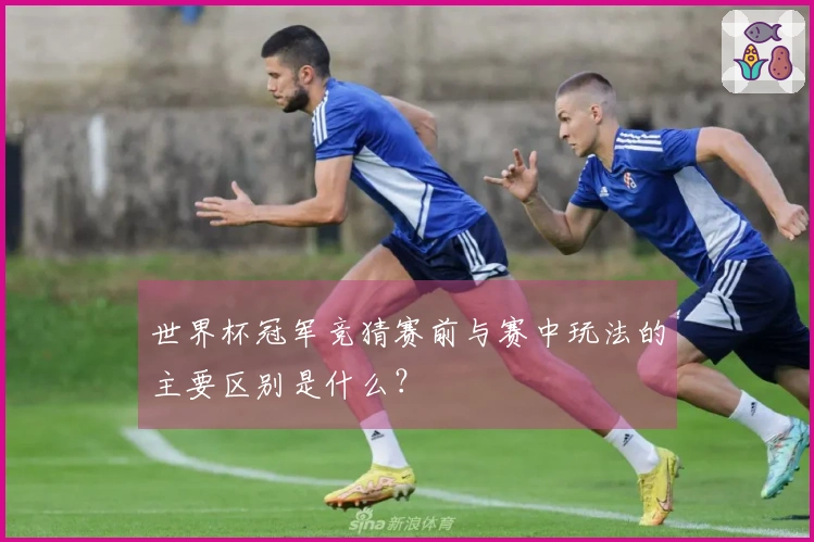世界杯冠军竞猜赛前与赛中玩法的主要区别是什么？