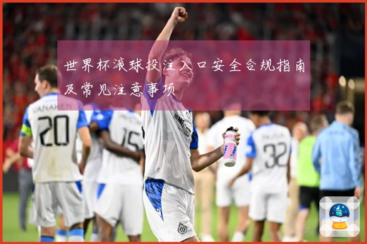 世界杯滚球投注入口安全合规指南及常见注意事项