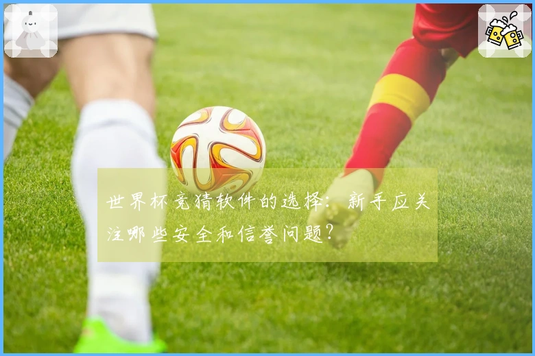 世界杯竞猜软件的选择：新手应关注哪些安全和信誉问题？