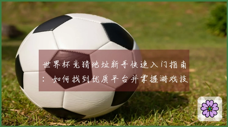 世界杯竞猜地址新手快速入门指南：如何找到优质平台并掌握游戏技巧