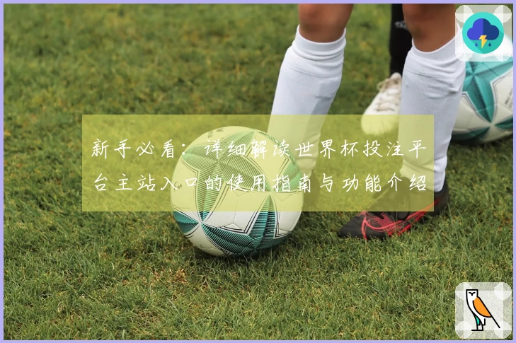 新手必看：详细解读世界杯投注平台主站入口的使用指南与功能介绍