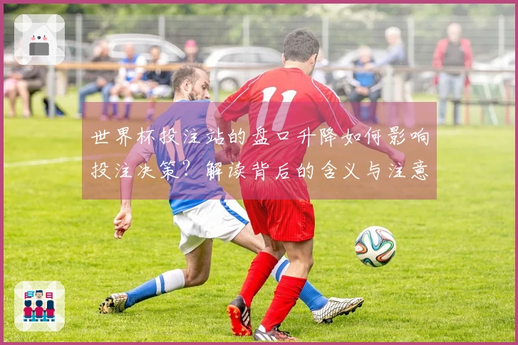 世界杯投注站的盘口升降如何影响投注决策？解读背后的含义与注意事项