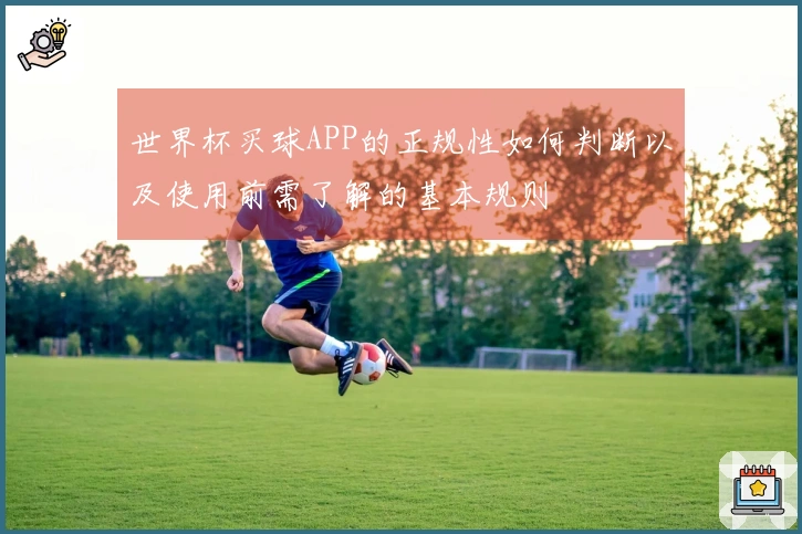 世界杯买球APP的正规性如何判断以及使用前需了解的基本规则