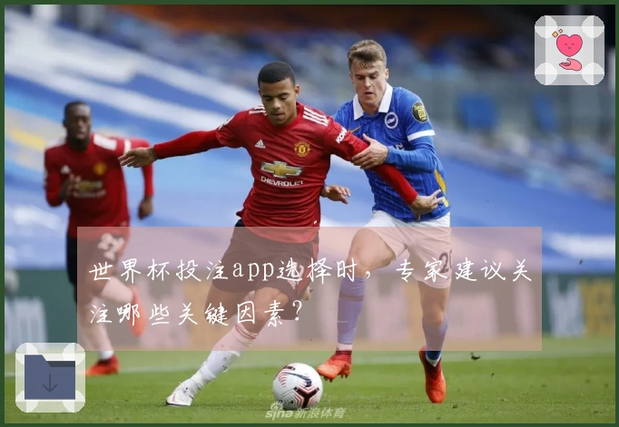 世界杯投注app选择时，专家建议关注哪些关键因素？