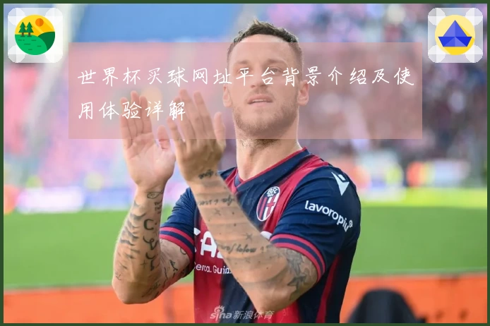 世界杯买球网址平台背景介绍及使用体验详解