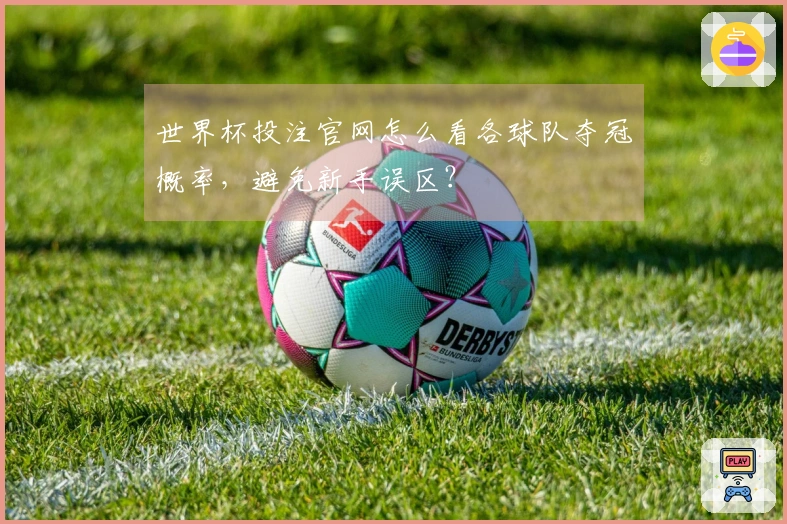 世界杯投注官网怎么看各球队夺冠概率,避免新手误区?